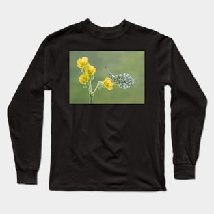 Orange Tip on Cowslip Long Sleeve T-Shirt